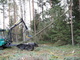 <b>Alajärvi energiapuu 002</b>