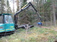 <b>Alajärvi energiapuu 038</b>