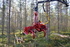 <b>DSC_0784</b>